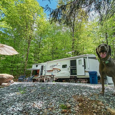 Rv Adventure Roscoe Pet Friendly Ξενοδοχείο Εξωτερικό φωτογραφία
