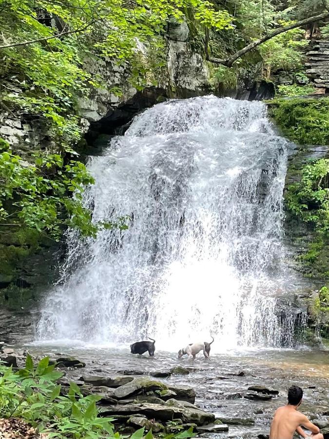 Rv Adventure Roscoe Pet Friendly Ξενοδοχείο Εξωτερικό φωτογραφία
